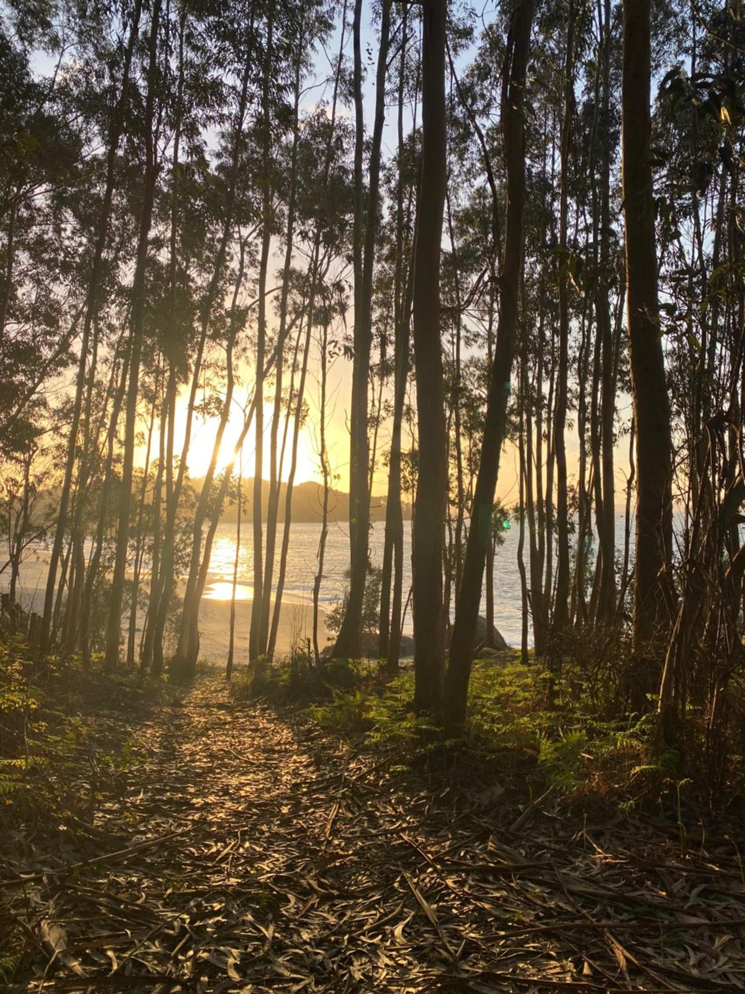 Rincon De Lagos, Bueu Pontevedra Eksteriør bilde